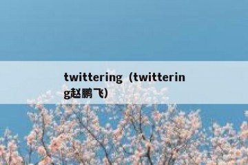 twittering（twittering赵鹏飞）