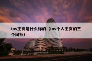 ins主页是什么样的（ins个人主页的三个图标）