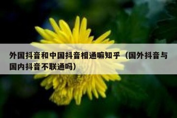 外国抖音和中国抖音相通嘛知乎（国外抖音与国内抖音不联通吗）