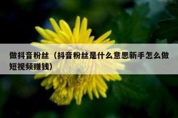 做抖音粉丝（抖音粉丝是什么意思新手怎么做短视频赚钱）