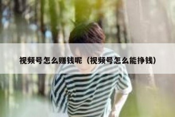 视频号怎么赚钱呢（视频号怎么能挣钱）