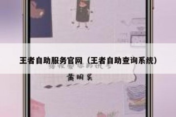 王者自助服务官网（王者自助查询系统）