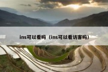 ins可以看吗（ins可以看访客吗）