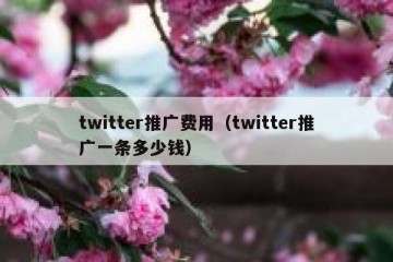 twitter推广费用（twitter推广一条多少钱）