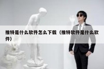 推特是什么软件怎么下载（推特软件是什么软件）
