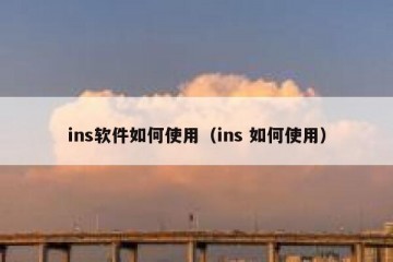 ins软件如何使用（ins 如何使用）