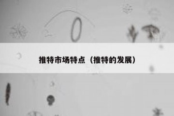 推特市场特点（推特的发展）