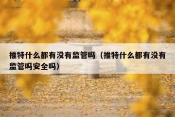 推特什么都有没有监管吗（推特什么都有没有监管吗安全吗）