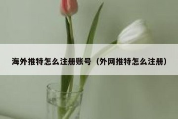 海外推特怎么注册账号（外网推特怎么注册）