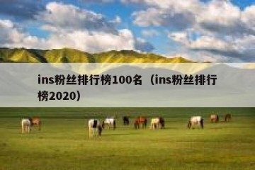 ins粉丝排行榜100名（ins粉丝排行榜2020）