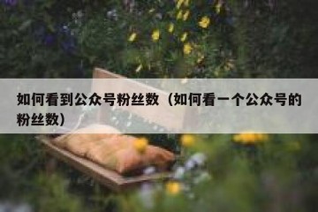 如何看到公众号粉丝数（如何看一个公众号的粉丝数）
