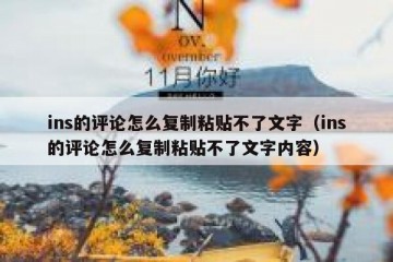 ins的评论怎么复制粘贴不了文字（ins的评论怎么复制粘贴不了文字内容）