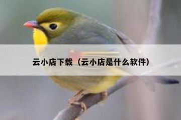 云小店下载（云小店是什么软件）