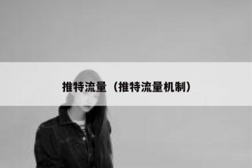 推特流量（推特流量机制）