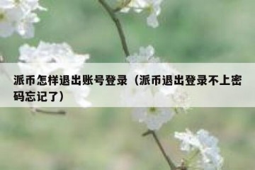 派币怎样退出账号登录（派币退出登录不上密码忘记了）