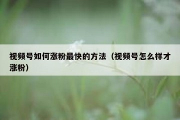视频号如何涨粉最快的方法（视频号怎么样才涨粉）