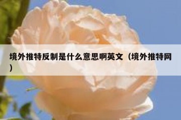 境外推特反制是什么意思啊英文（境外推特网）