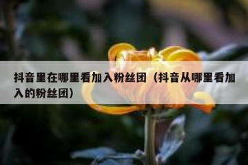 抖音里在哪里看加入粉丝团（抖音从哪里看加入的粉丝团）