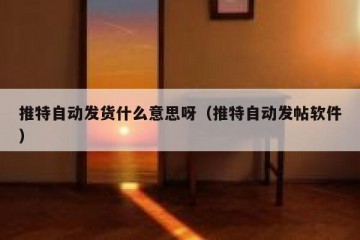 推特自动发货什么意思呀（推特自动发帖软件）