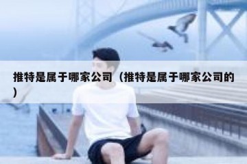 推特是属于哪家公司（推特是属于哪家公司的）