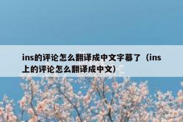 ins的评论怎么翻译成中文字幕了（ins上的评论怎么翻译成中文）