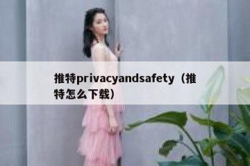 推特privacyandsafety（推特怎么下载）