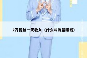 2万粉丝一天收入（什么叫流量赚钱）