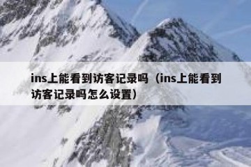 ins上能看到访客记录吗（ins上能看到访客记录吗怎么设置）