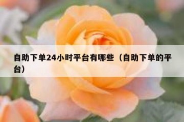 自助下单24小时平台有哪些（自助下单的平台）