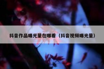 抖音作品曝光量在哪看（抖音视频曝光量）
