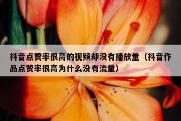 抖音点赞率很高的视频却没有播放量（抖音作品点赞率很高为什么没有流量）