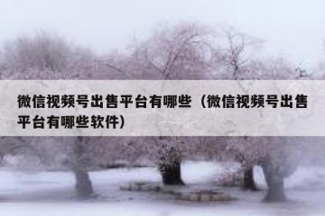 微信视频号出售平台有哪些（微信视频号出售平台有哪些软件）