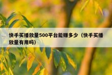 快手买播放量500平台能赚多少（快手买播放量有用吗）