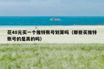 花48元买一个推特账号划算吗（那些买推特账号的是真的吗）