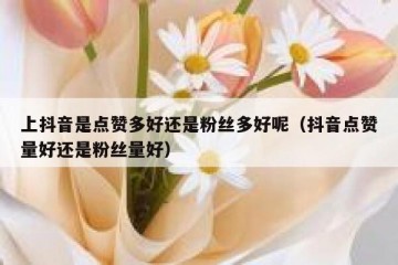 上抖音是点赞多好还是粉丝多好呢（抖音点赞量好还是粉丝量好）