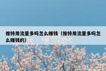 推特用流量多吗怎么赚钱（推特用流量多吗怎么赚钱的）