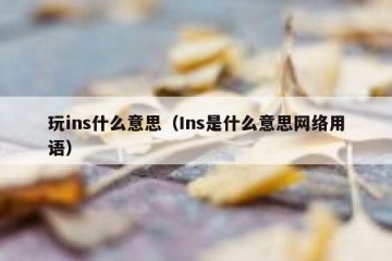 玩ins什么意思（Ins是什么意思网络用语）
