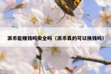 派币能赚钱吗安全吗（派币真的可以换钱吗）