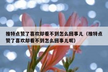 推特点赞了喜欢却看不到怎么回事儿（推特点赞了喜欢却看不到怎么回事儿呢）