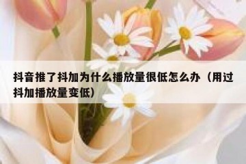 抖音推了抖加为什么播放量很低怎么办（用过抖加播放量变低）