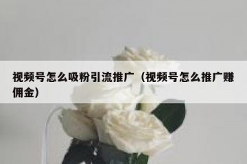 视频号怎么吸粉引流推广（视频号怎么推广赚佣金）