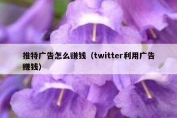 推特广告怎么赚钱（twitter利用广告赚钱）