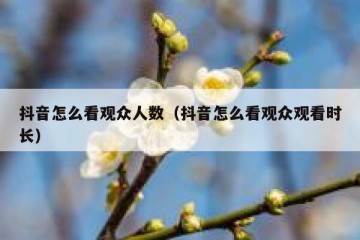 抖音怎么看观众人数（抖音怎么看观众观看时长）