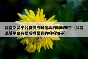 抖音涨赞平台有提成吗是真的吗吗知乎（抖音涨赞平台有提成吗是真的吗吗知乎）