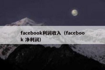 facebook利润收入（facebook 净利润）