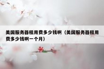 美国服务器租用费多少钱啊（美国服务器租用费多少钱啊一个月）