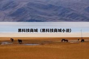 黑科技商城（黑科技商城小说）