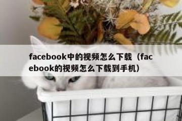 facebook中的视频怎么下载（facebook的视频怎么下载到手机）
