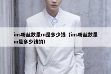 ins粉丝数量m是多少钱（ins粉丝数量m是多少钱的）