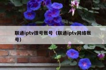联通iptv拨号账号（联通iptv网络账号）